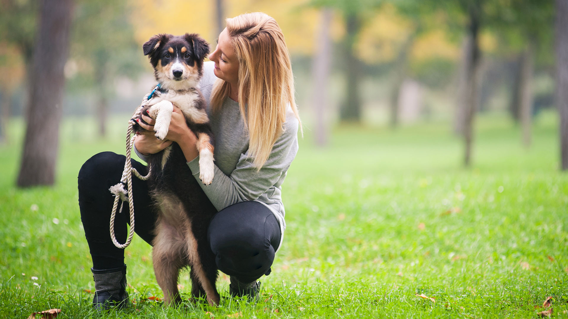 Young woman playing with Australian Shepherd dog outdoors in the park. ; Shutterstock ID 179803604; PO: TODAY.com; Other: Mike Smith